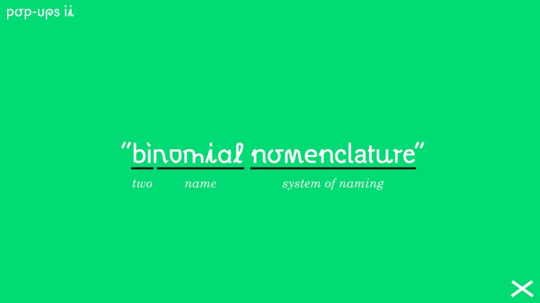 blog pics presentation 9-24.007